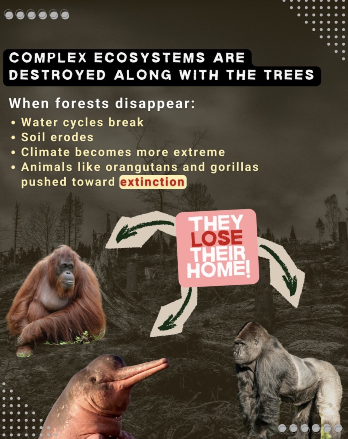 CarbonTrack educational poster 2