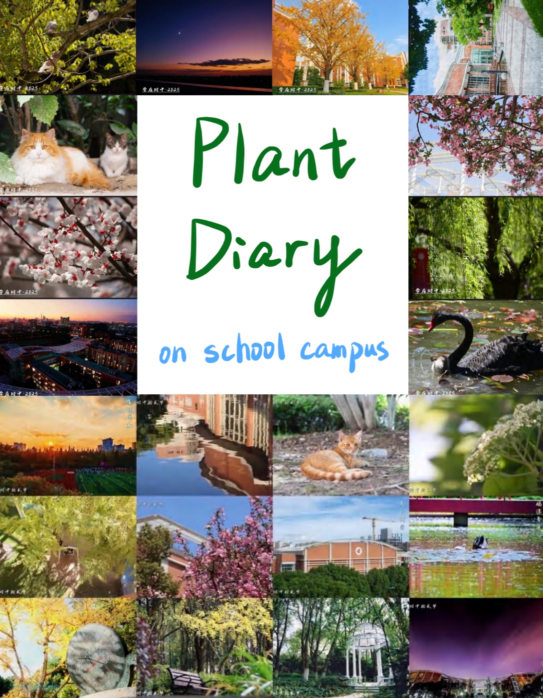 Plant Diary page 1